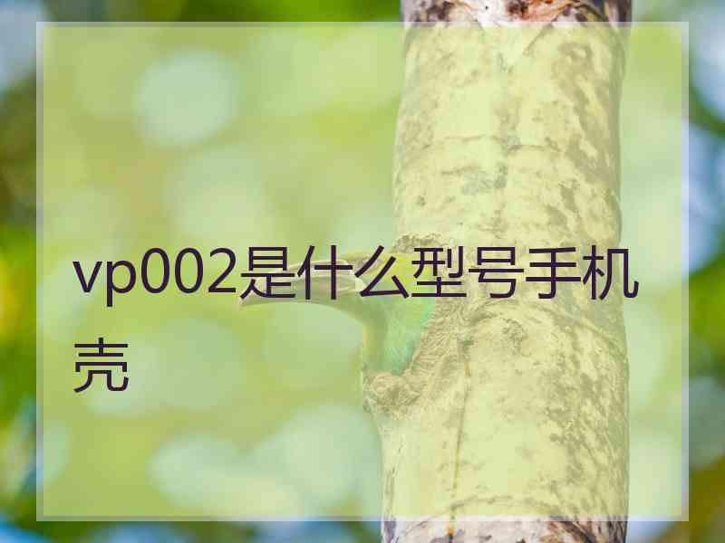 vp002是什么型号手机壳