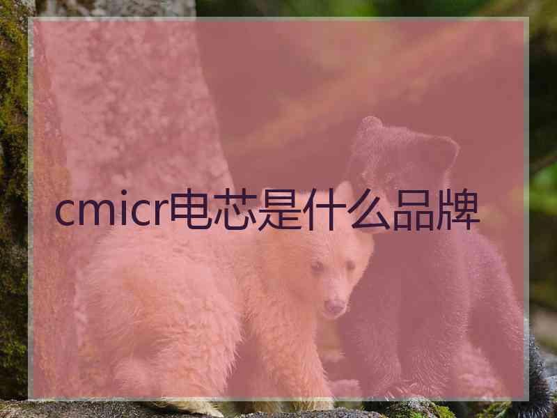 cmicr电芯是什么品牌