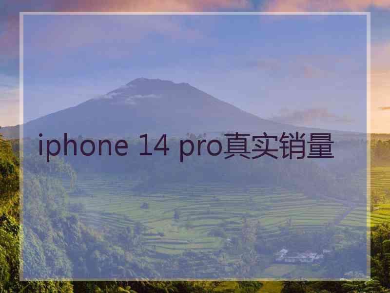 iphone 14 pro真实销量