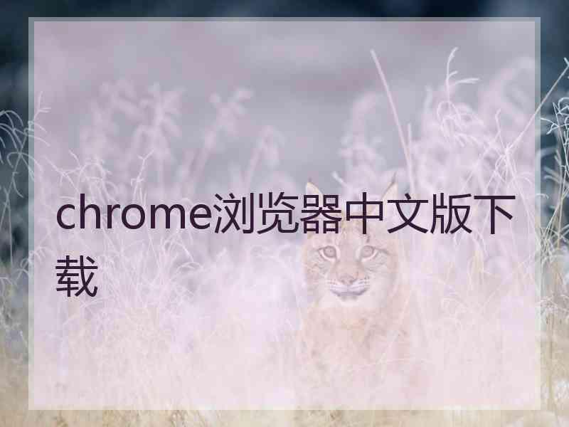 chrome浏览器中文版下载