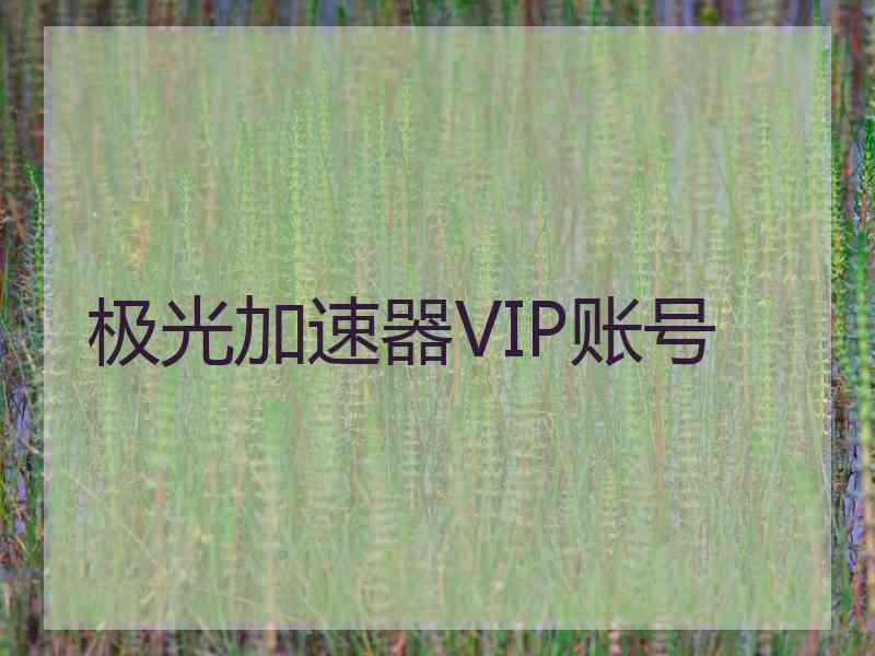 极光加速器VIP账号