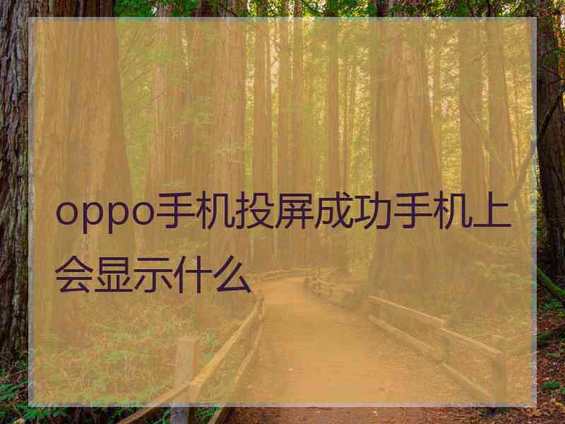 oppo手机投屏成功手机上会显示什么