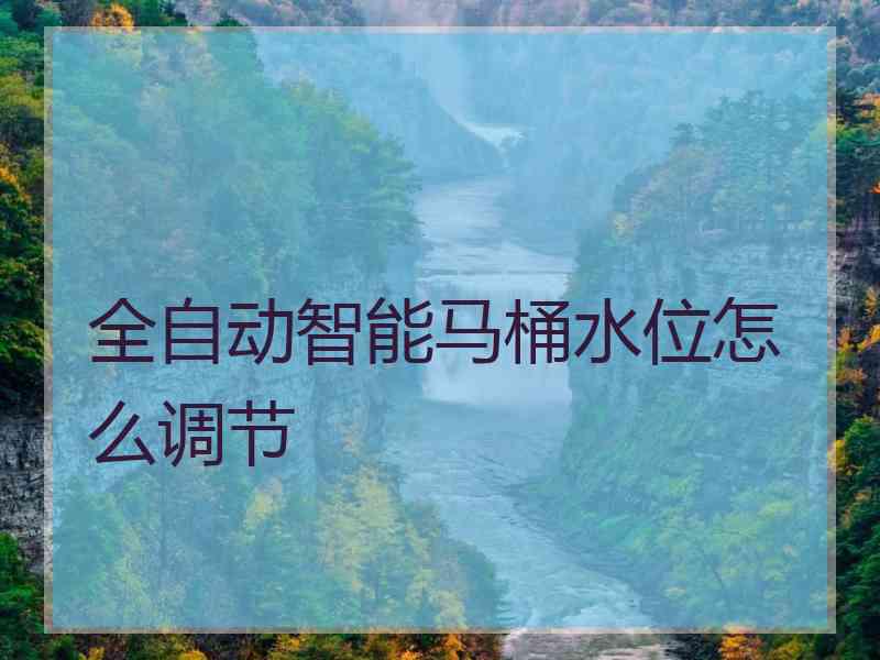 全自动智能马桶水位怎么调节