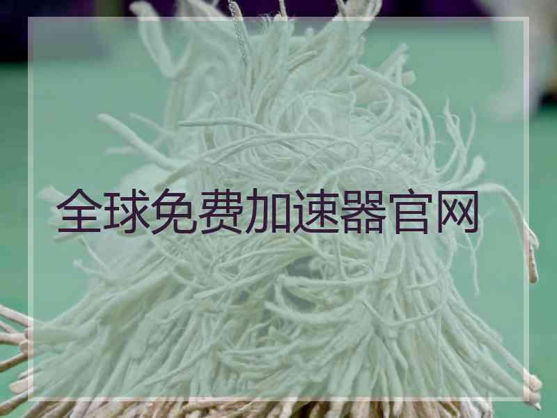 全球免费加速器官网