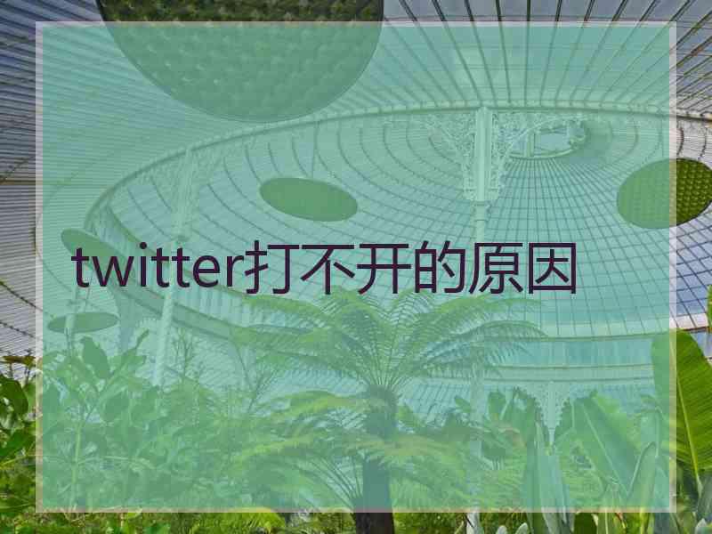 twitter打不开的原因