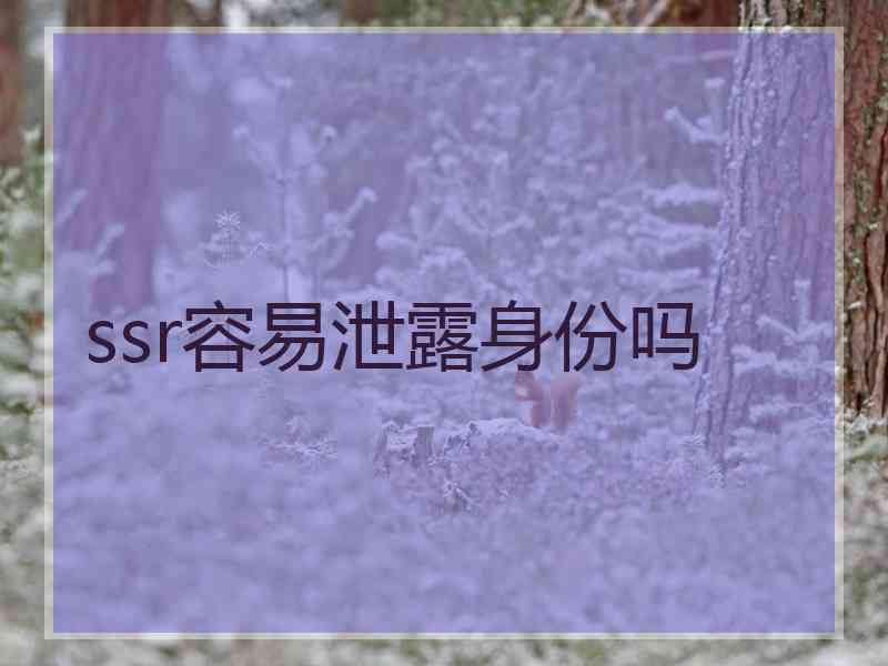 ssr容易泄露身份吗