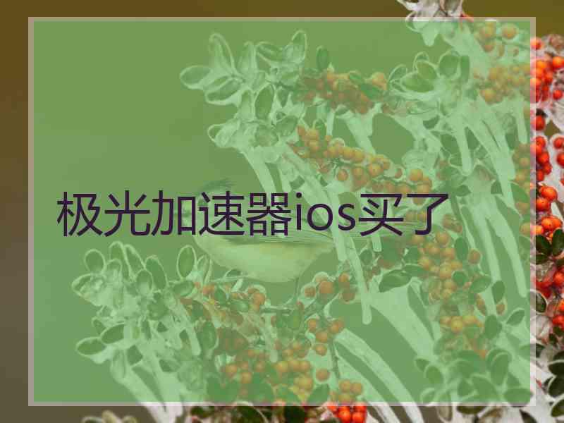 极光加速器ios买了