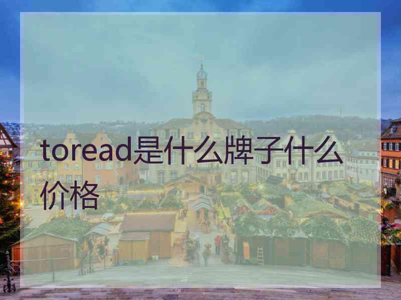 toread是什么牌子什么价格