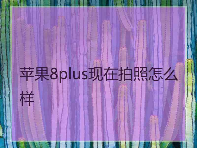 苹果8plus现在拍照怎么样