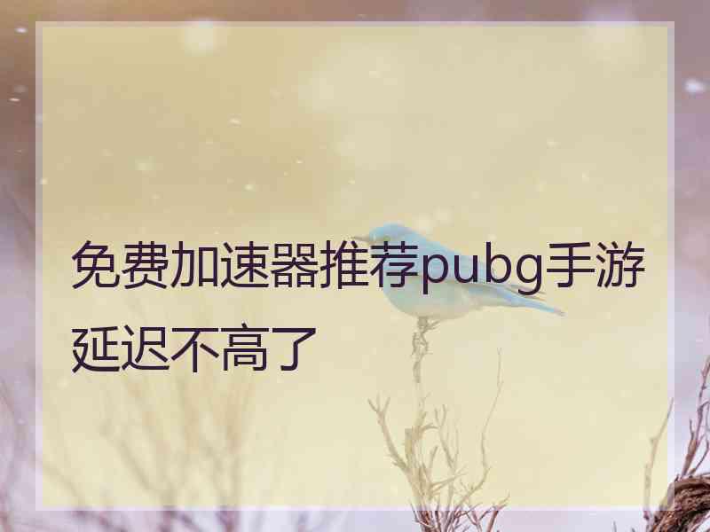 免费加速器推荐pubg手游延迟不高了