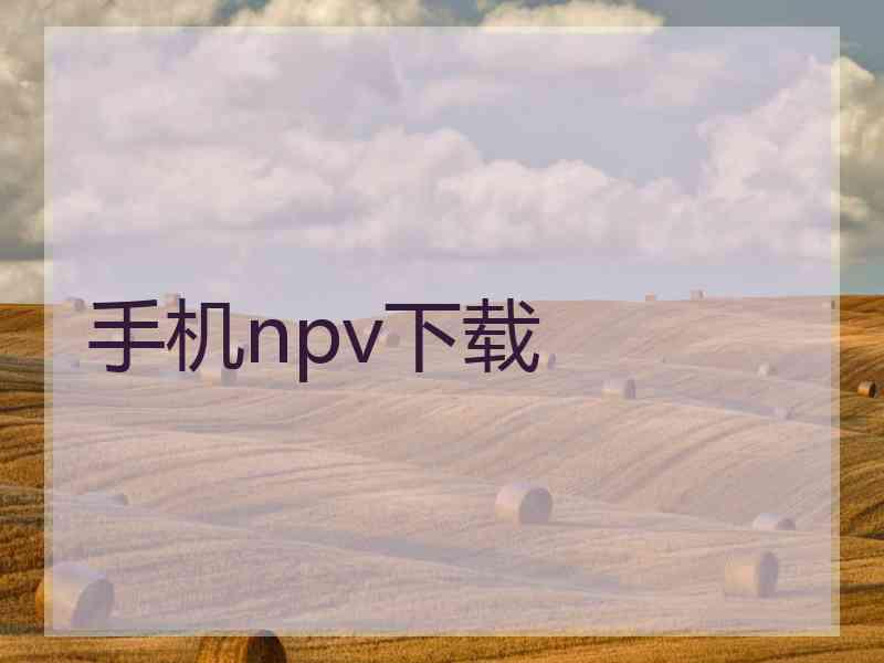 手机npv下载