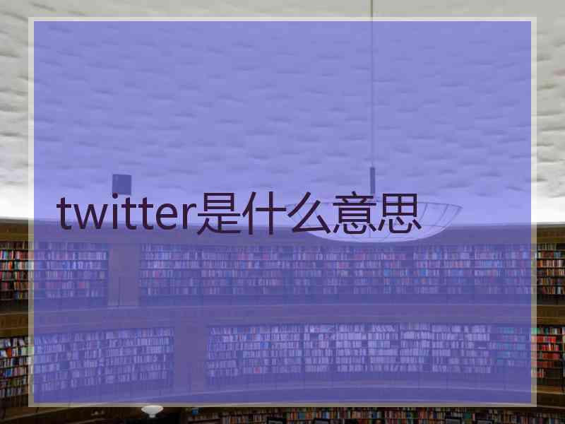 twitter是什么意思