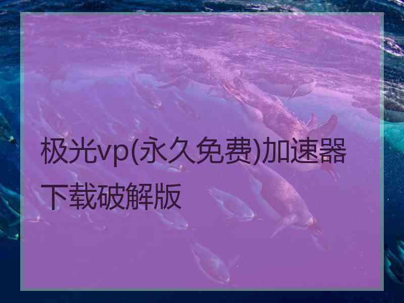 极光vp(永久免费)加速器下载破解版