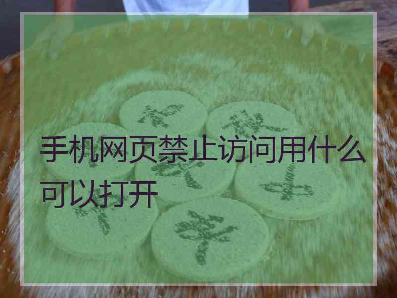 手机网页禁止访问用什么可以打开