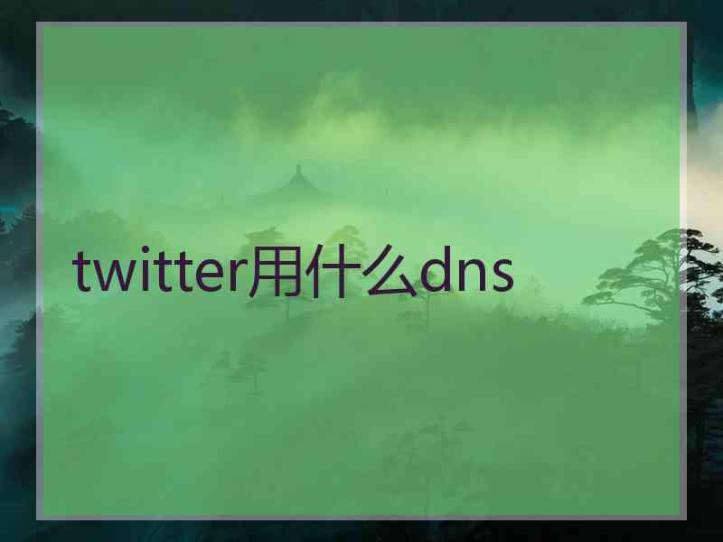 twitter用什么dns