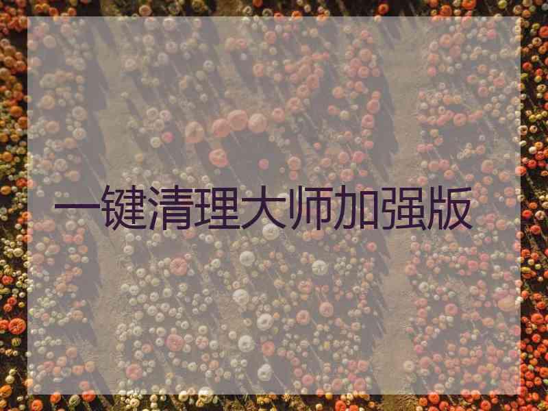 一键清理大师加强版