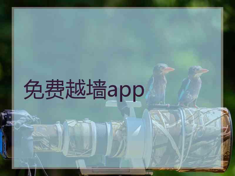 免费越墙app