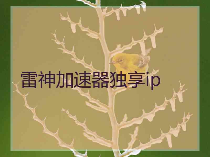 雷神加速器独享ip