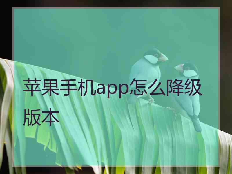 苹果手机app怎么降级版本