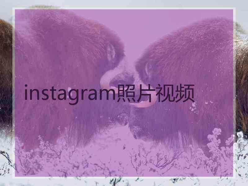 instagram照片视频