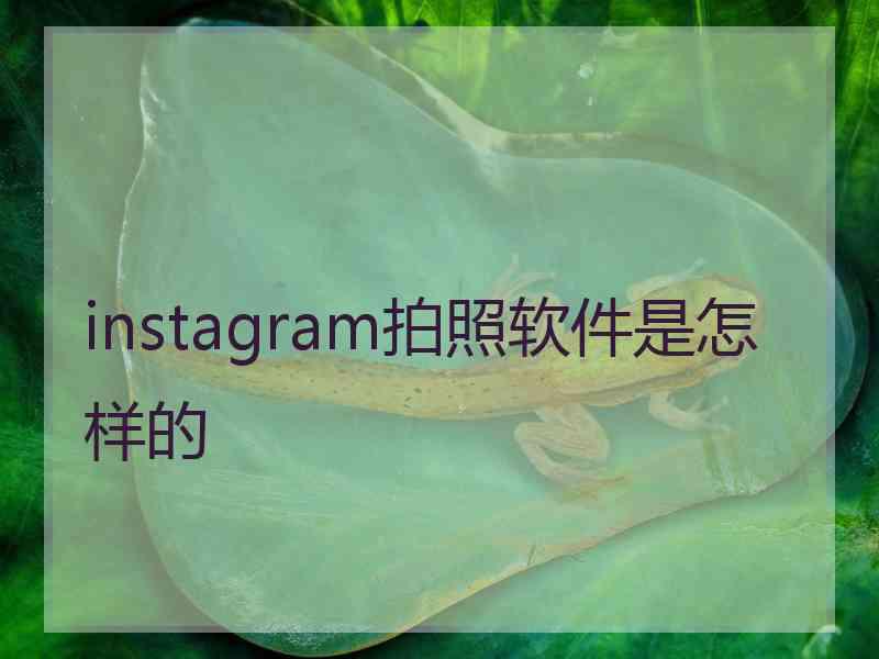 instagram拍照软件是怎样的