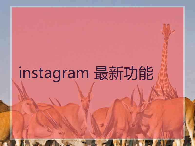 instagram 最新功能