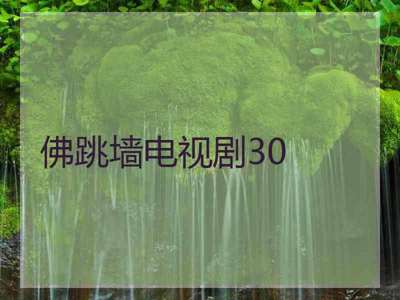 佛跳墙电视剧30