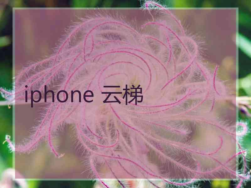 iphone 云梯