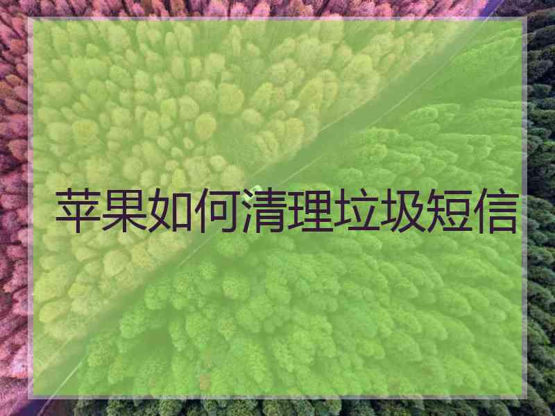 苹果如何清理垃圾短信