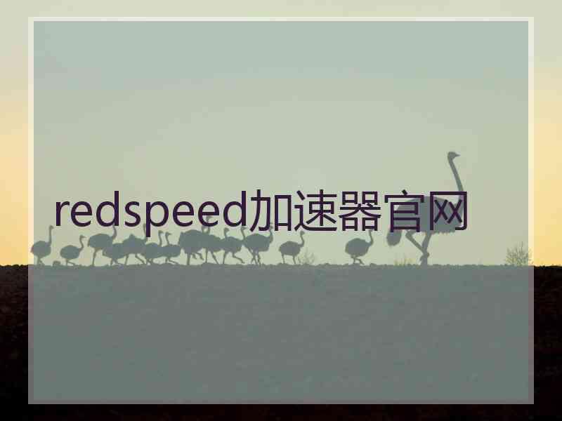 redspeed加速器官网