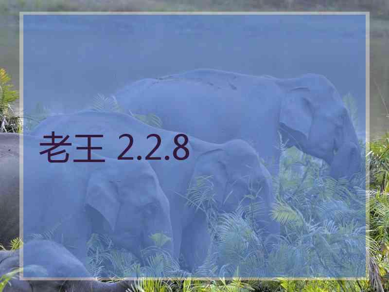 老王 2.2.8