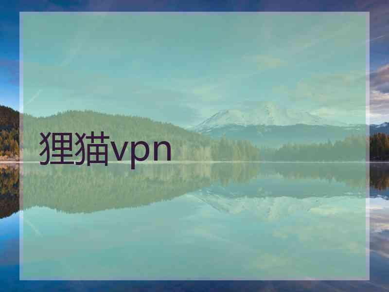 狸猫vpn