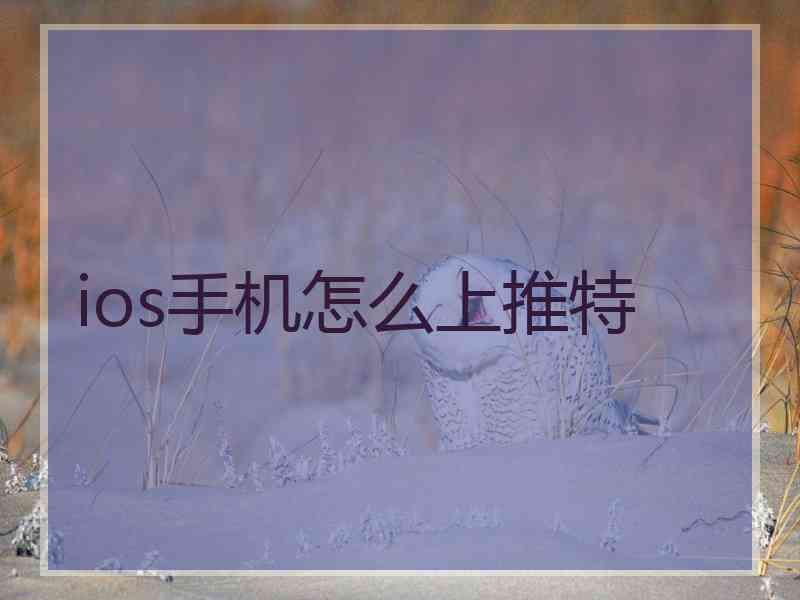 ios手机怎么上推特