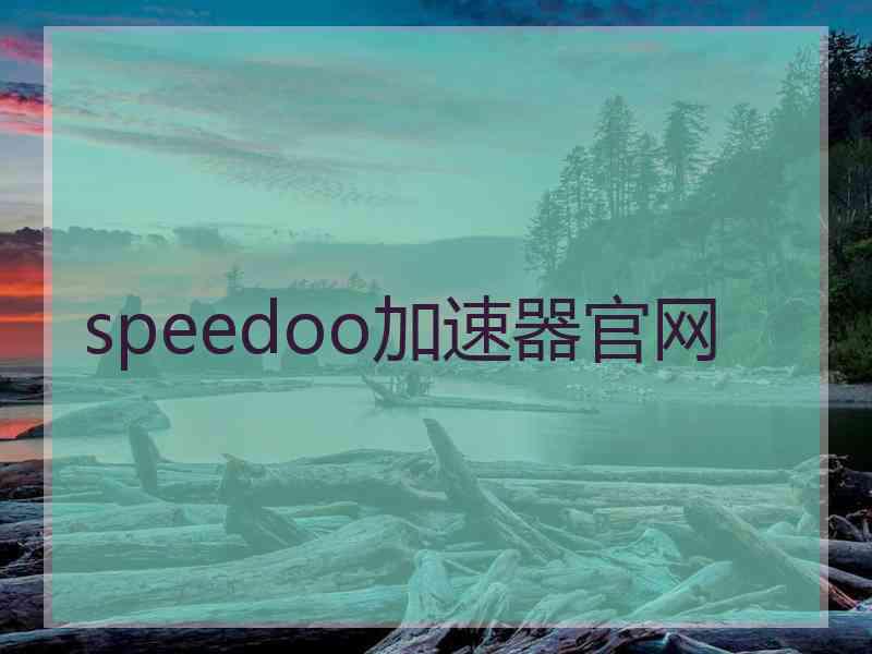 speedoo加速器官网