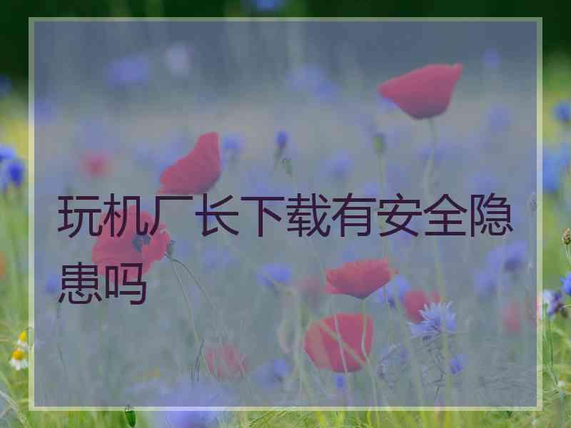 玩机厂长下载有安全隐患吗