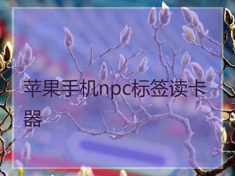 苹果手机npc标签读卡器