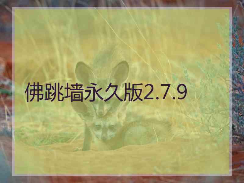 佛跳墙永久版2.7.9