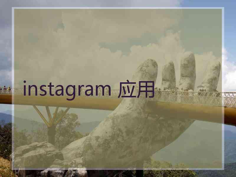 instagram 应用