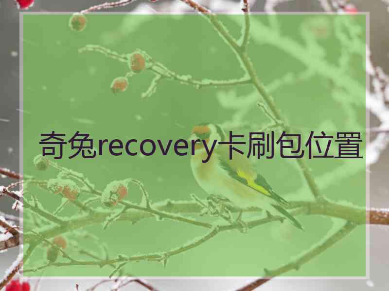 奇兔recovery卡刷包位置