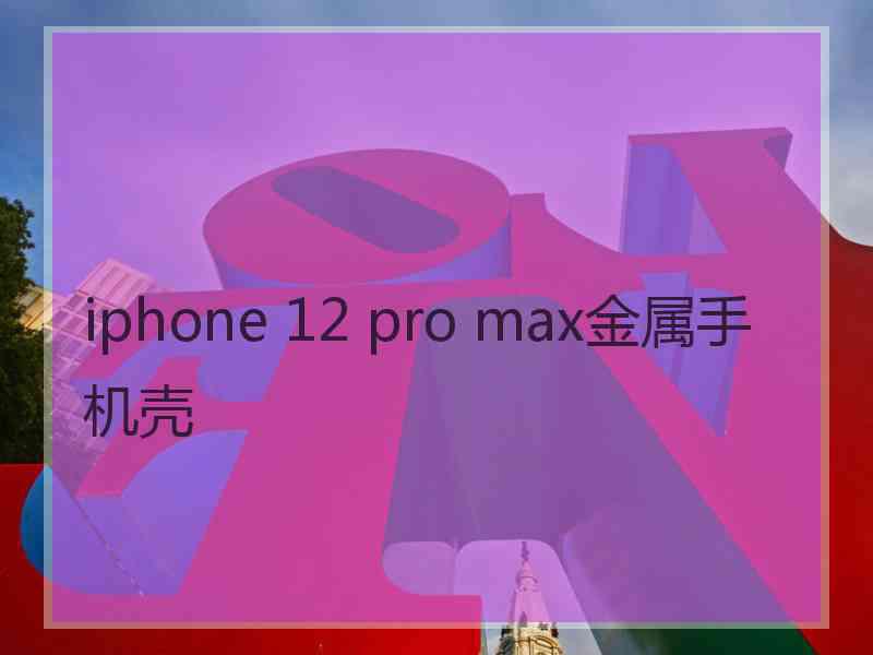 iphone 12 pro max金属手机壳