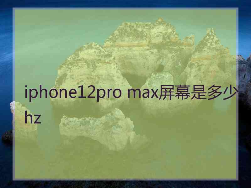 iphone12pro max屏幕是多少hz