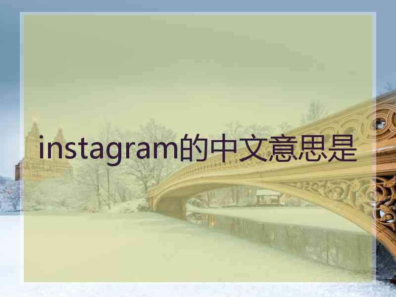 instagram的中文意思是