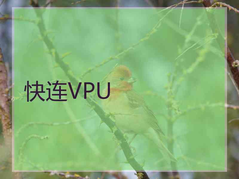 快连VPU