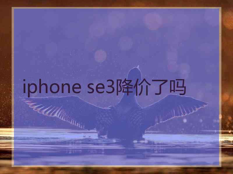 iphone se3降价了吗