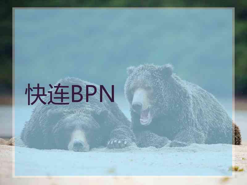 快连BPN