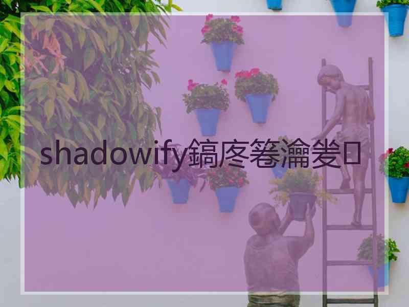 shadowify鎬庝箞瀹夎