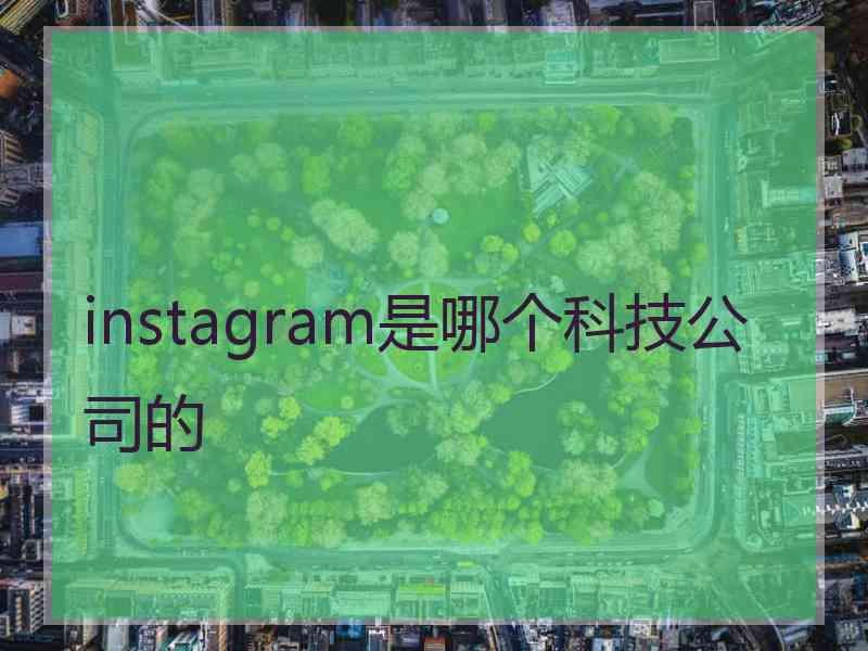 instagram是哪个科技公司的