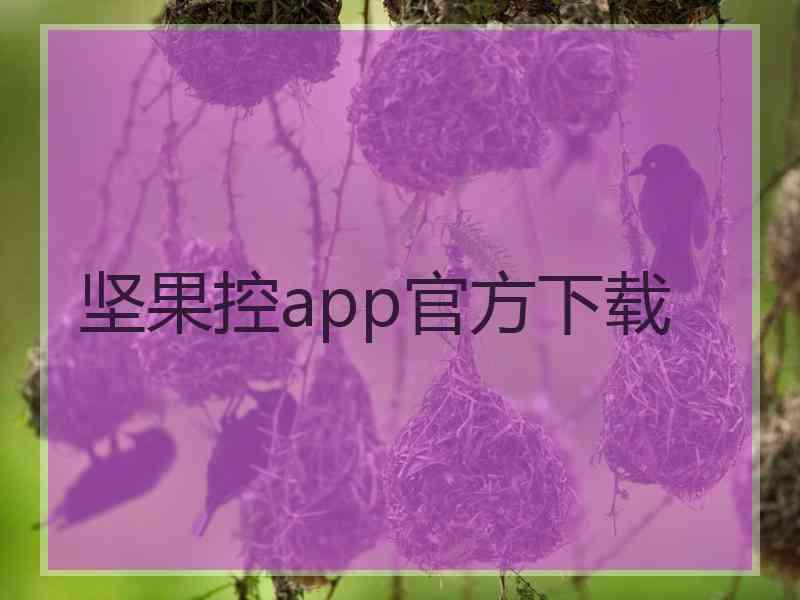 坚果控app官方下载