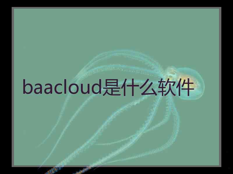 baacloud是什么软件