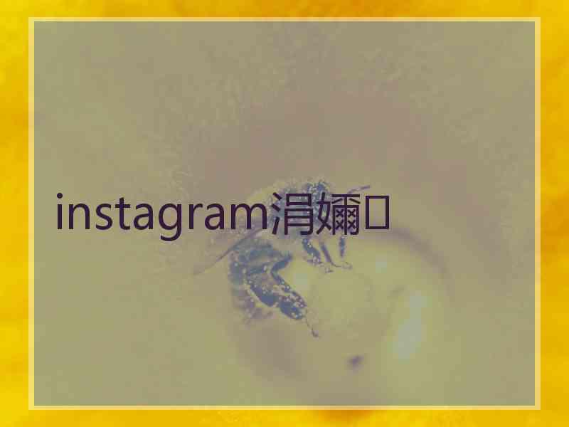 instagram涓嬭